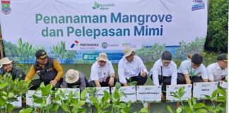 Pertamina, PLN, dan Radio Elshinta Dukung Upaya Konservasi Mangrove di Ketapang, Tangerang