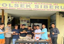 Sigap! Polsek Siberut Polres Kepulauan Mentawai Tangkap Kepala Dusun Edarkan Ganja, Upaya War on Drugs Terus Ditingkatkan