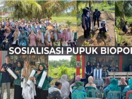 Sosialisasi Pupuk Biopori di Nagari Ulakan: Dorong Pertanian Ramah Lingkungan