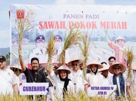 Wagub Vasko & Titiek Soeharto Panen Raya dengan Metode Sawah Pokok Murah di Agam