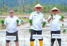 Rehabilitasi Lahan Rusak Ringan dan Sedang di Sumbar Tuntas