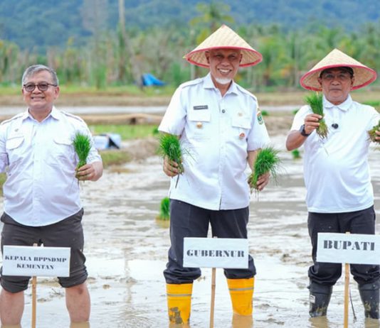 Rehabilitasi Lahan Rusak Ringan dan Sedang di Sumbar Tuntas
