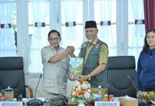 Mendagri Dorong Kepala Daerah Manfaatkan Program Nasional 300 Ribu Jembatan Gantung