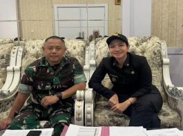 Presiden Prabowo Setujui Pembangunan Dua Jembatan Vital di Dharmasraya