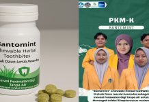UNP Kembangkan Tablet Kunyah Herbal “Bantomint”, Solusi Praktis Jaga Kebersihan Gigi