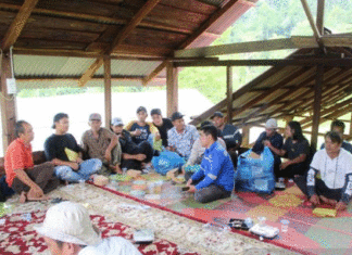 Kosabangsa UMMY-Unand dampingi Dengolahan Pakan Ternak dengan Bisozyme dan Pelet Indigofera di Daerah 3 T