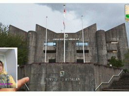 APAKAH NILAI AKADEMIS ANAK DIPENGARUHI OLEH MIGRASI ORANGTUA?