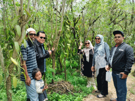 Tim PKM Universitas Andalas Lakukan Pendampingan Program Berkelanjutan Membantu Mitra Jerigud Farm untuk Mengembangkan Usaha Produk Vanili dan Derivatnya di Kenagarian Gadut kecamatan Tilatang Kamang Kabupaten Agam