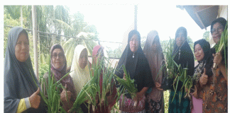 Mengenal lebih dekat peran ibu ibu PKK