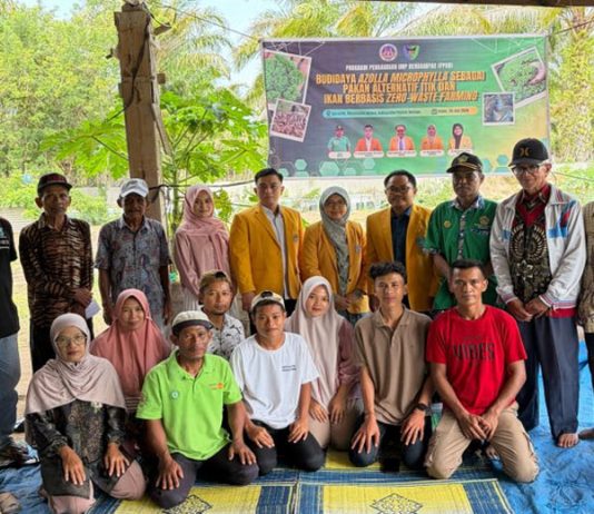 Tim Pengabdian UNP Kembangkan Budidaya Azolla microphylla jadi Pakan Alternatif Itik dan Ikan di Pessel