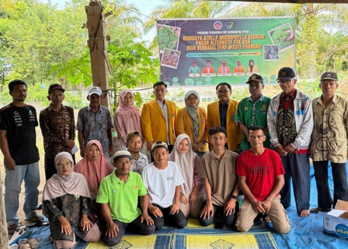 gambar-31