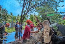 Bencana Hidrometeorologi Landa Padang, Warga dan Nelayan Diimbau Waspada