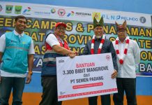 Semen Padang dan Pemprov Sumbar Bersinergi Hijaukan Pesisir dengan 3.300 Bibit Mangrove