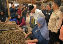 Gubernur Mahyeldi: Investasi Pengolahan Pinang Gerakkan Ekonomi Masyarakat