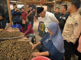 Gubernur Mahyeldi: Investasi Pengolahan Pinang Gerakkan Ekonomi Masyarakat