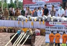 Bandara Selalu Jadi Jalur Peredaran, Polres Padang Pariaman Musnahkan 26,8 Kg Ganja dan 409 Botol Miras