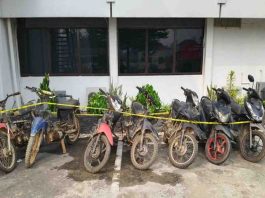Polres Sijunjung Tangkap Residivis Curanmor, Tujuh Motor Disita
