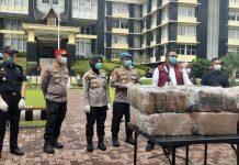 Polda Sumbar Musnahkan Puluhan Kilogram Ganja, Proses Berlangsung Terbuka dan Diawasi Ketat