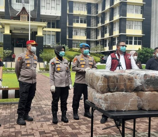 Polda Sumbar Musnahkan Puluhan Kilogram Ganja, Proses Berlangsung Terbuka dan Diawasi Ketat