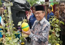 PLN Dukung Urban Farming dan Petani Milenial Padang