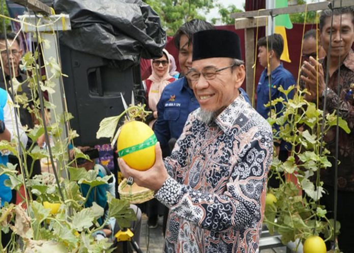 gambar-50