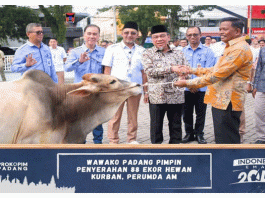Dirut Perumda AM Kota Padang dan Wawako Maigus Nasir Salurkan Hewan Qurban Pada Pengurus Masjid dan Mushalla