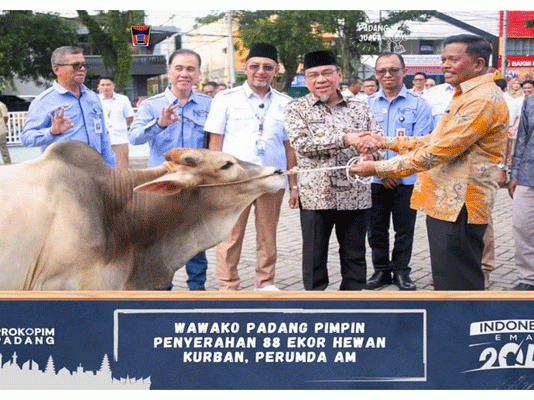 Dirut Perumda AM Kota Padang dan Wawako Maigus Nasir Salurkan Hewan Qurban Pada Pengurus Masjid dan Mushalla
