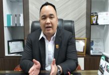 Nanda Satria Minta Warga Kurangi Aktivitas di Luar Saat Kabut Asap
