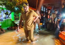 Tinjau Banjir di Ulakan Tapakis, Wagub Sumbar Minta Warga tak Abaikan Peringatan Cuaca