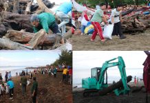 Pulihkan Aktivitas Nelayan, Pemprov Sumbar Gelar Aksi Bersih Pantai