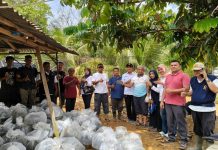 Tingkatkan Ekonomi Masyarakat, Petani Ikan Diguyur Bantuan Bibit dan Pakan Sampai Panen