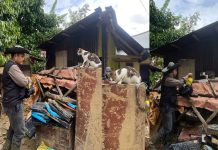 UNP Peduli dan J&T Wujudkan Kepedulian untuk Hewan