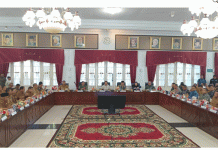 Bupati Pessel Minta Mendagri dan Kepala BNPB Percepat Pembangunan Jembatan Ngalau Gadang