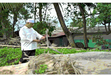 Daratan Baru di Pantai Parkit, Mahyeldi : Perlu Kajian Lebih Lanjut