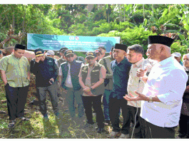 Gubernur Mahyeldi Hadiri Penyembelihan Sapi Qurban Bantuan Wakil Presiden RI di Limapuluh Kota