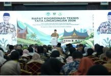 Gubernur: Tata Lingkungan Sumbar Harus Berbasis Daya Dukung dan Daya Tampung Pascabencana