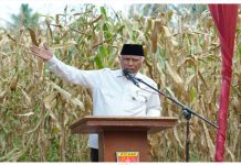 Gubernur Mahyeldi Dorong Pertanian Sumbar Berbasis Smart Farming