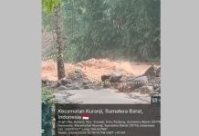 Hujan Ekstrem Lumpuhkan Intake Perumda, Distribusi Air Bersih Padang Terganggu